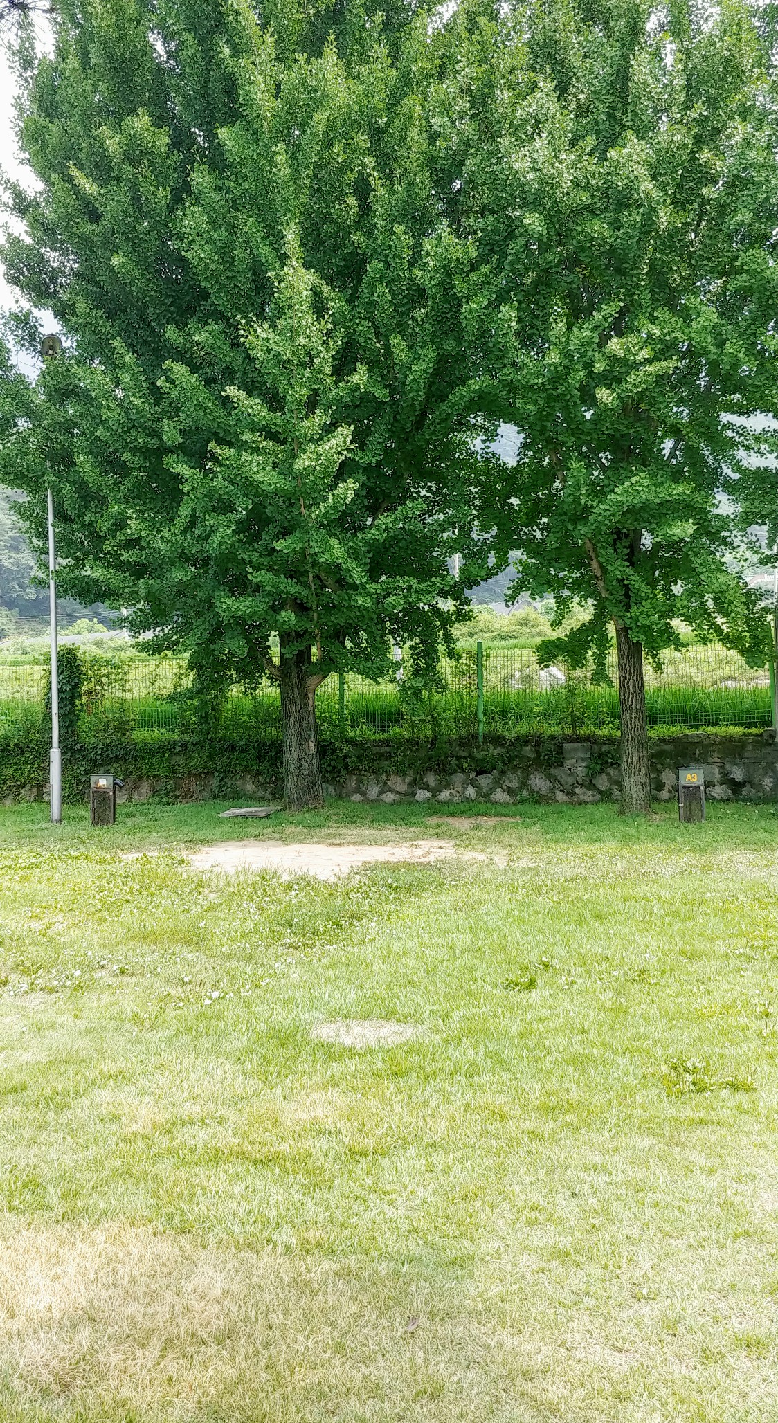 20180727_135054~2.jpg
