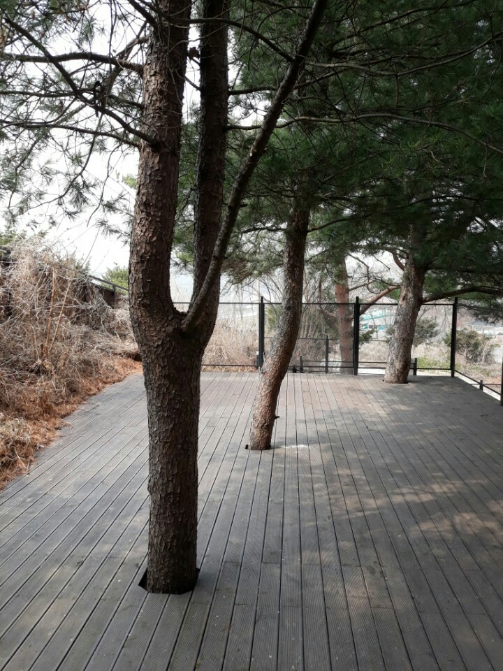 KakaoTalk_20180408_172146871.jpg