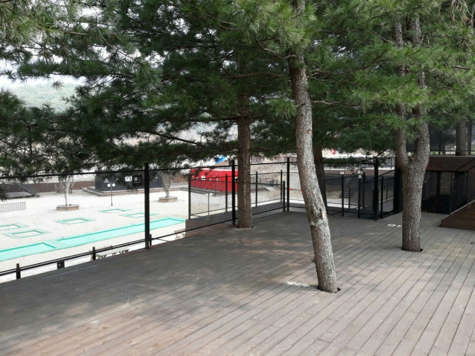 KakaoTalk_20180408_172149377.jpg