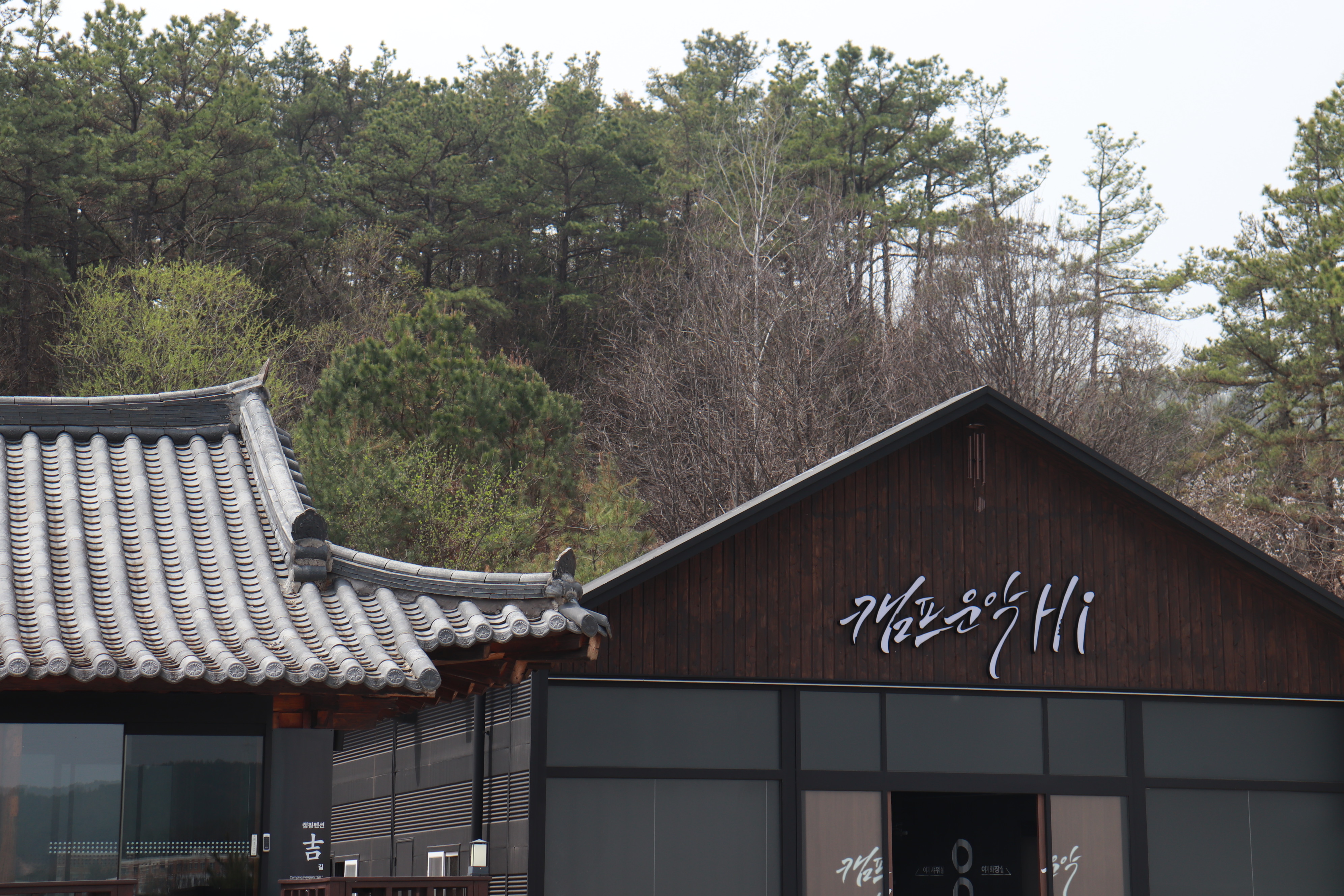 캠운Hi